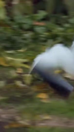 TikTok video thumbnail by leuldinsafari5