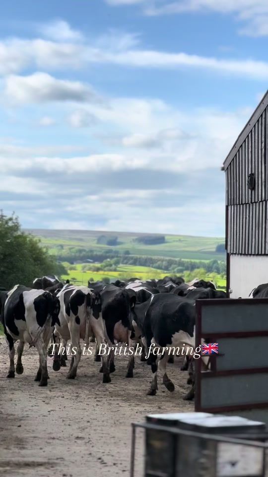 TikTok video thumbnail by oscar.tat_
