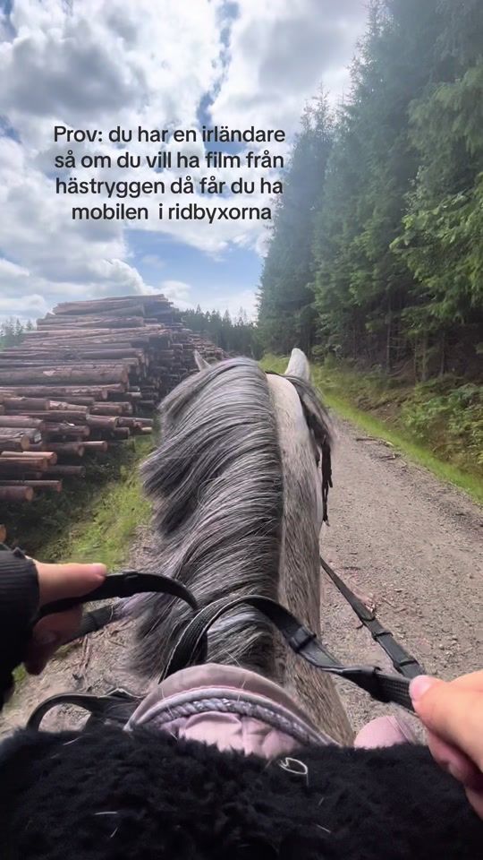 TikTok video thumbnail by wilmis29