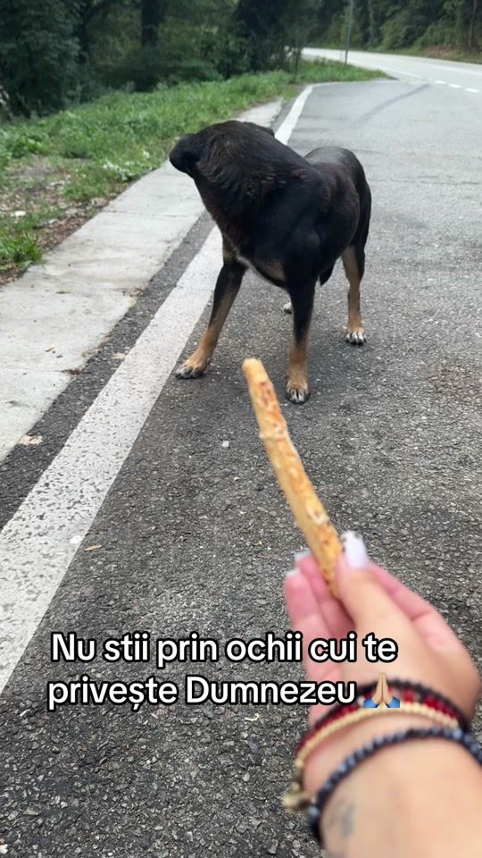 TikTok video thumbnail by cristinaiuliaa_