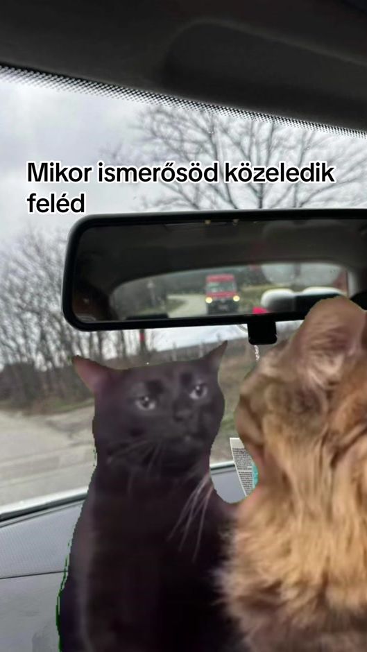 TikTok video thumbnail by k.blanka.barbara