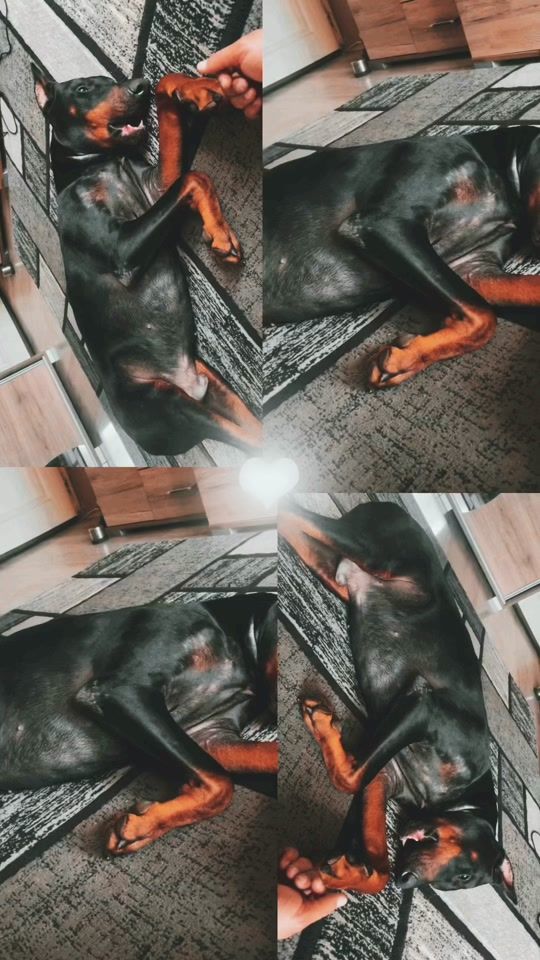 TikTok video thumbnail by mike122354