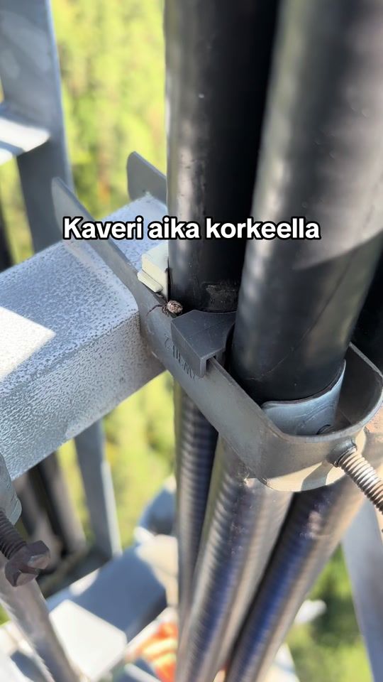 TikTok video thumbnail by thanosvolvo