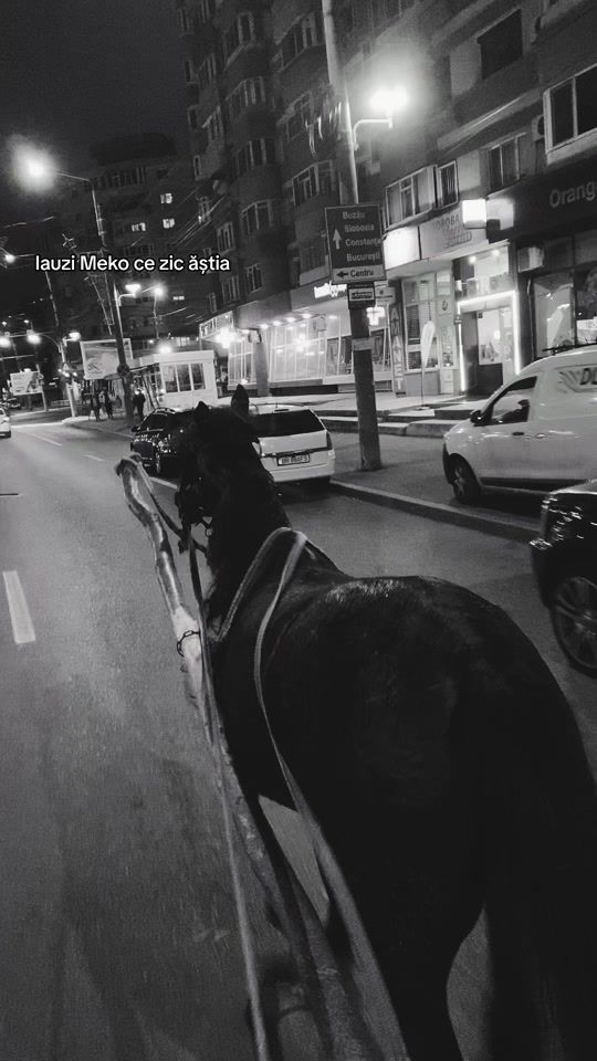 TikTok video thumbnail by alexnbk8