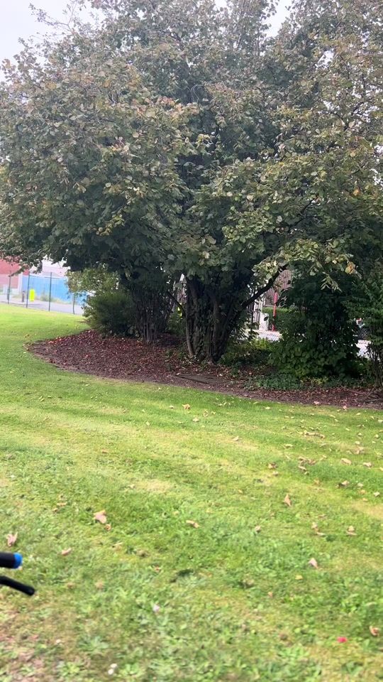 TikTok video thumbnail by nitro_by_be