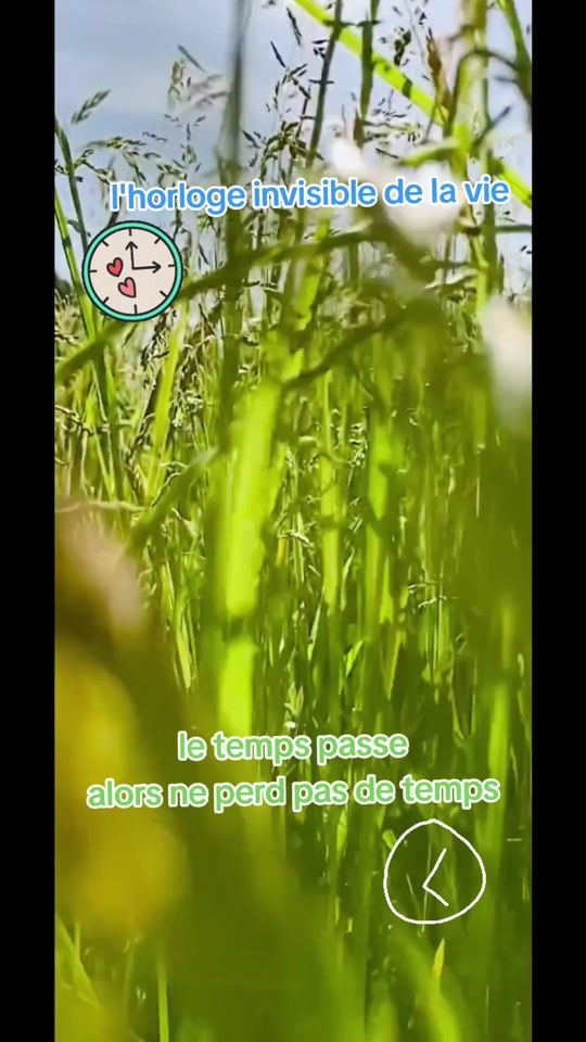 TikTok video thumbnail by naturel_ement