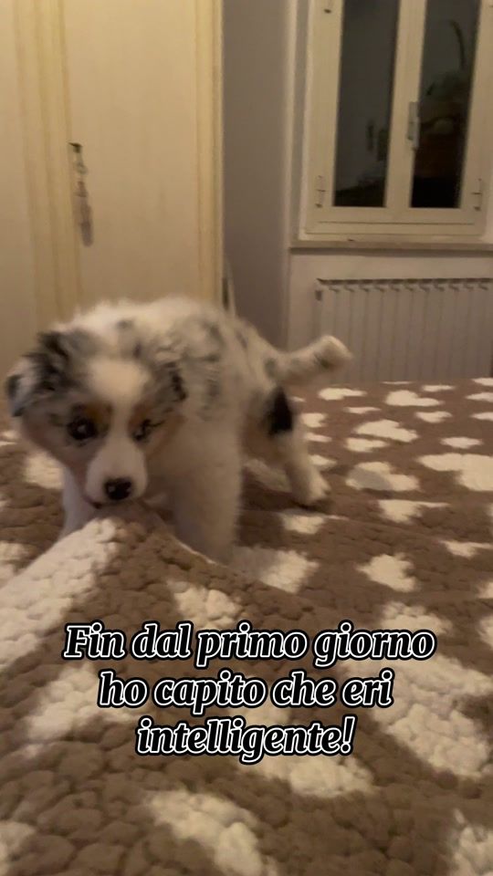 TikTok video thumbnail by jeeeda__