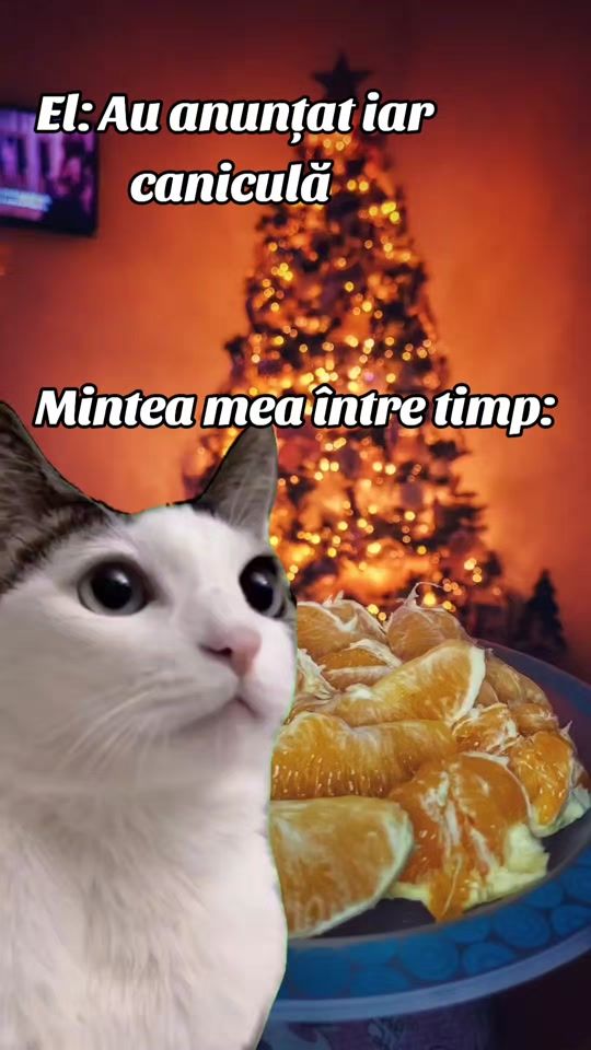 TikTok video thumbnail by flori_mrc