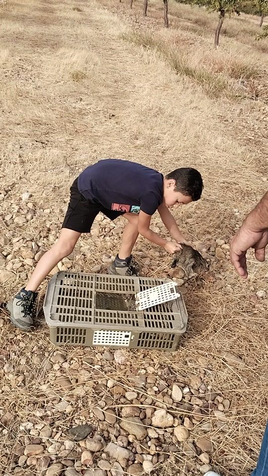 TikTok video thumbnail by user2908024110762