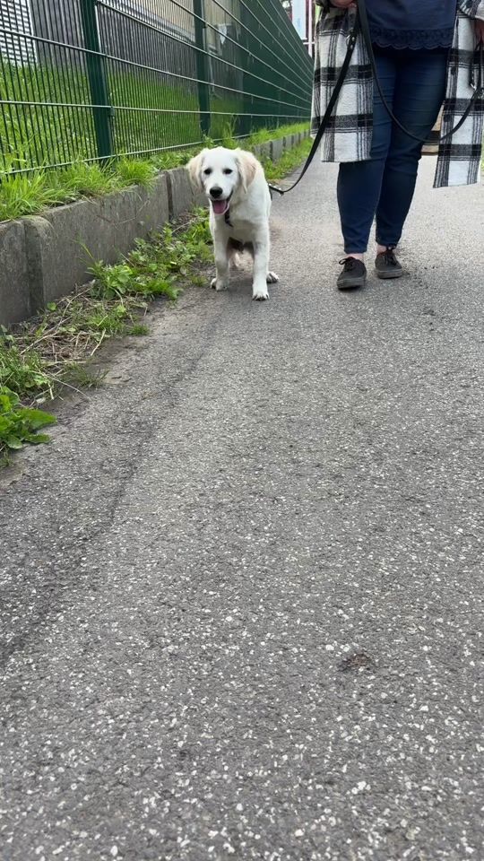 TikTok video thumbnail by samlegolden