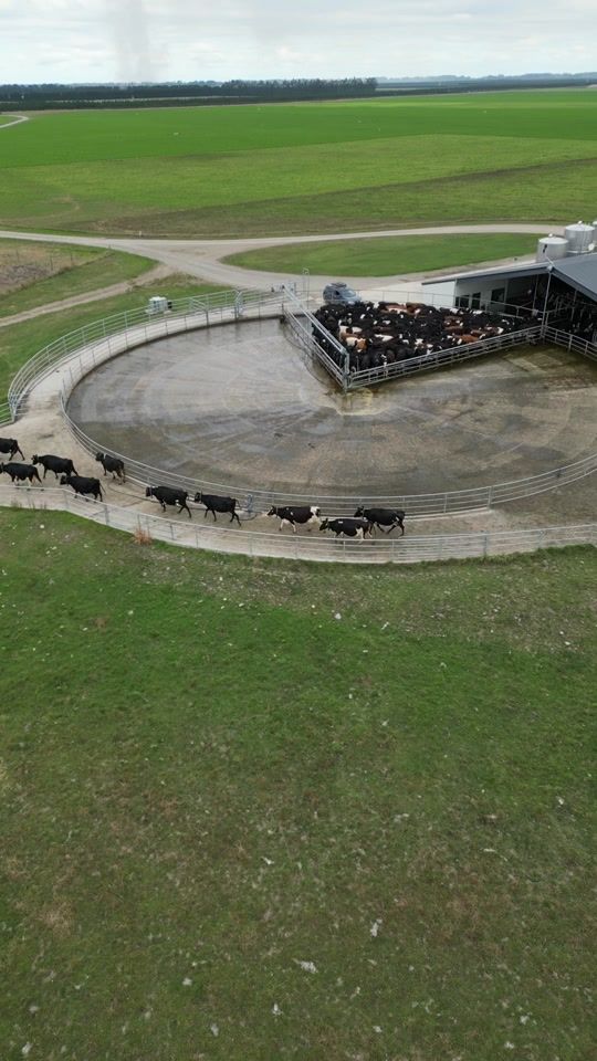 TikTok video thumbnail by patt.andrews