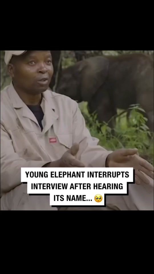 TikTok video thumbnail by randomsviralclips