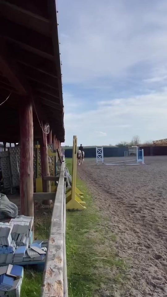 TikTok video thumbnail by kj.showjumper_