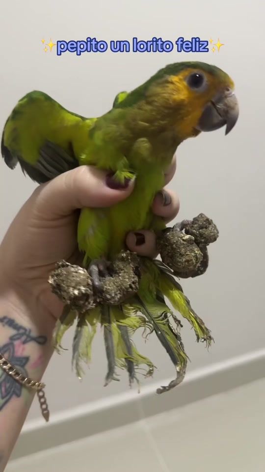 TikTok video thumbnail by marianakatira13