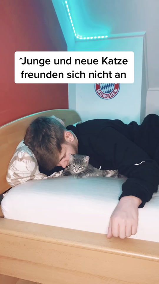 TikTok video thumbnail by da_kieri