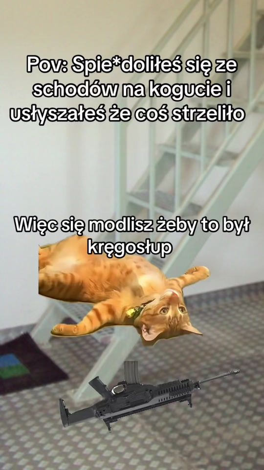 TikTok video thumbnail by gadzinatt