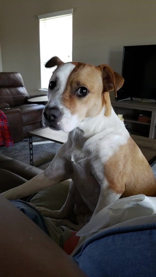 TikTok video thumbnail by docado.de