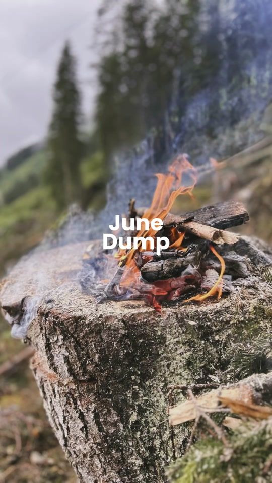 TikTok video thumbnail by andi_tasch