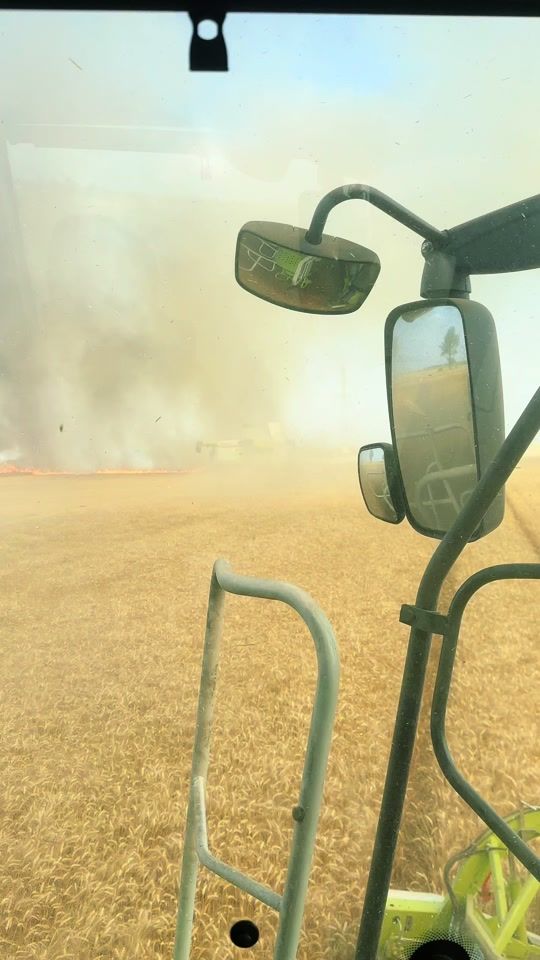 TikTok video thumbnail by marius_agro