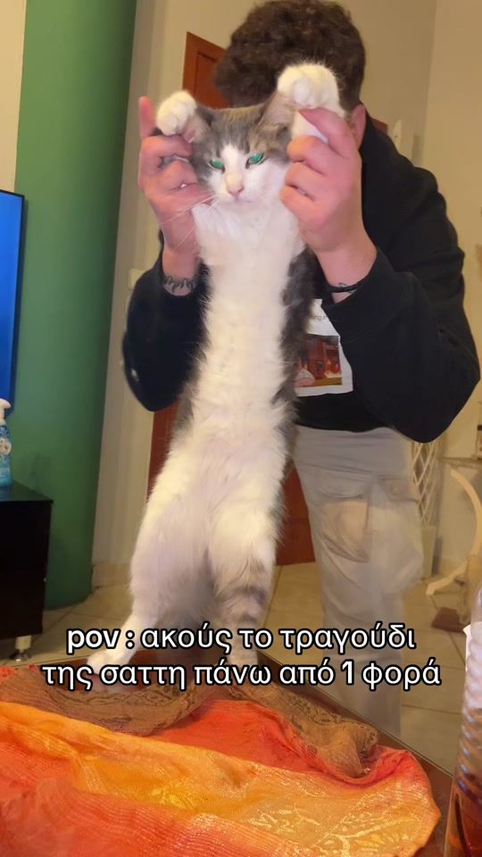 TikTok video thumbnail by dimitris_koutsoukis