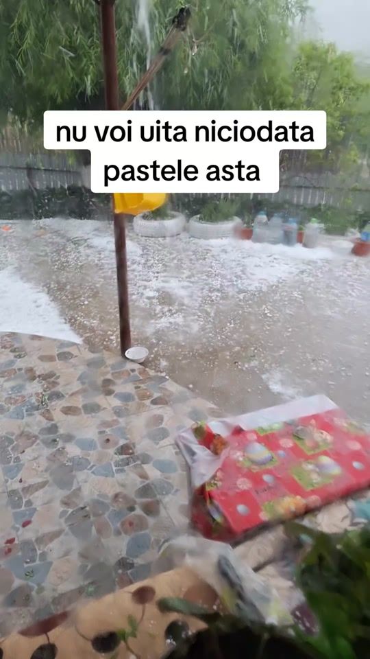 TikTok video thumbnail by adryanadysor