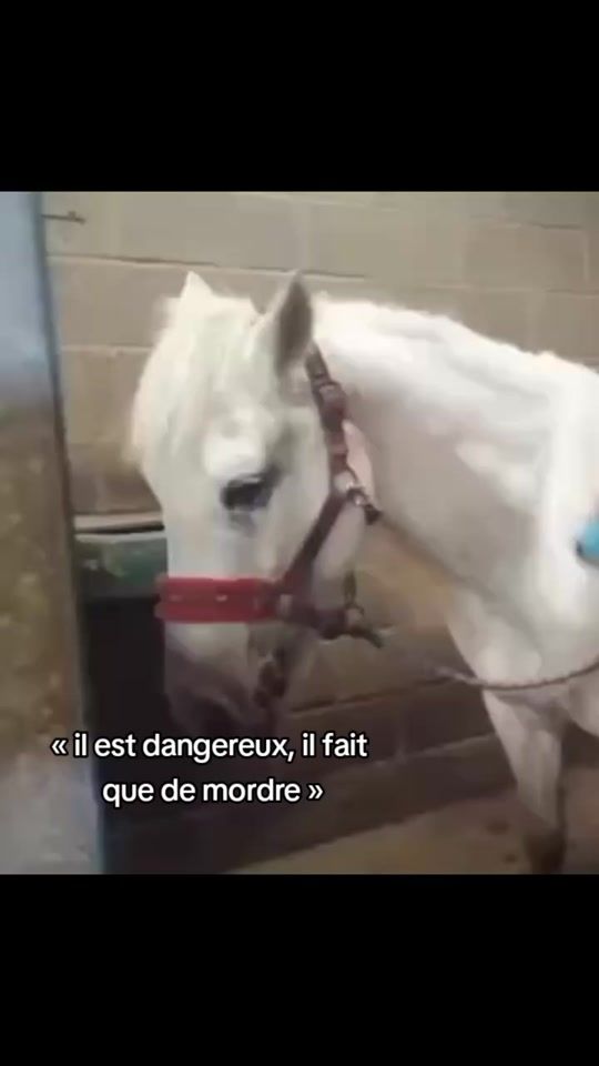 TikTok video thumbnail by azilys.rlr