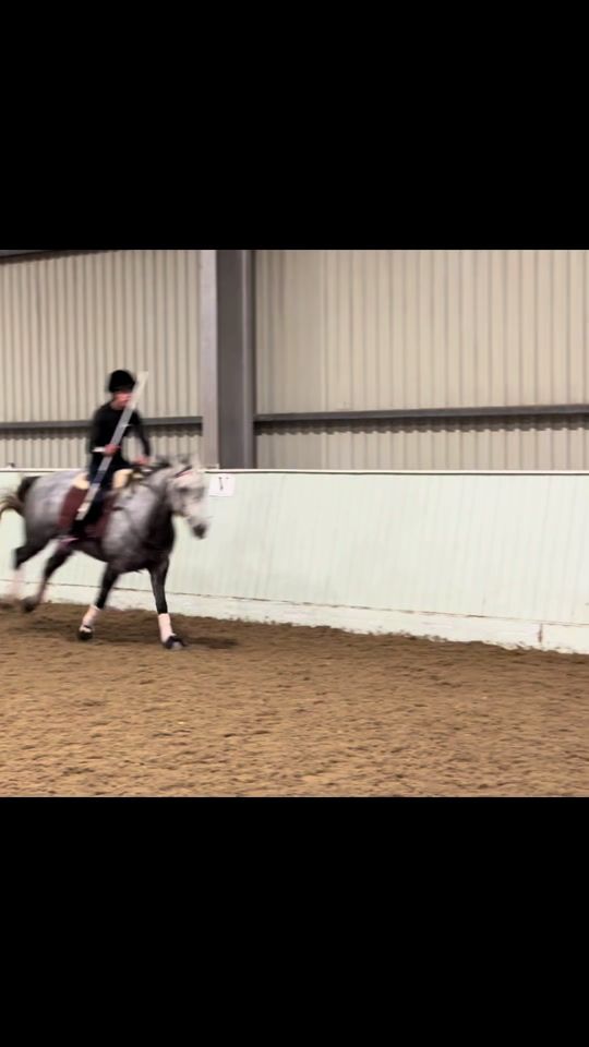 TikTok video thumbnail by hoperegan4