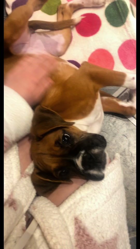 TikTok video thumbnail by courtneyginesi