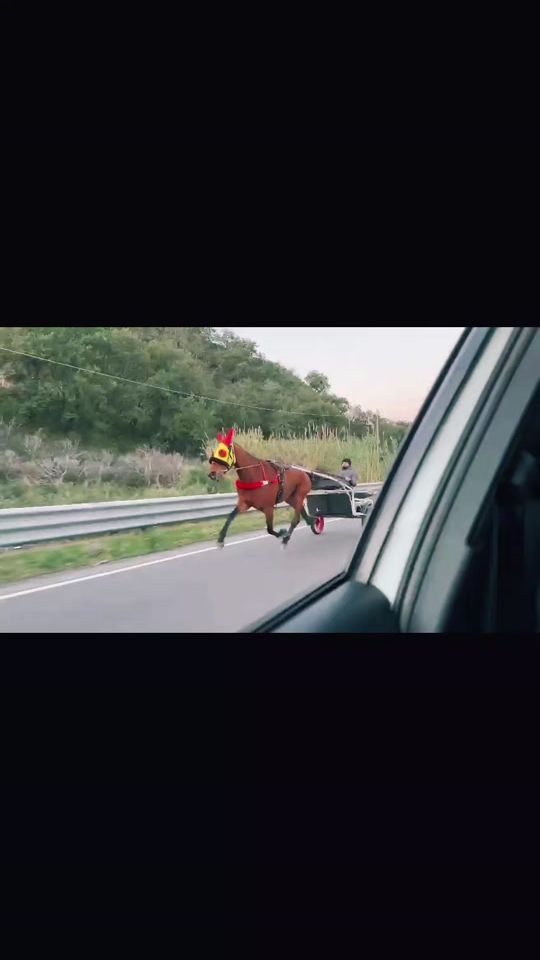 TikTok video thumbnail by s.c.garruso