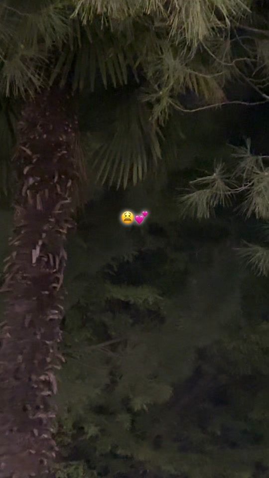 TikTok video thumbnail by usserrnonaame