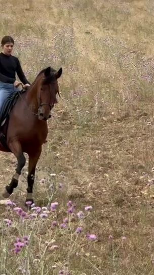 TikTok video thumbnail by apolo50000