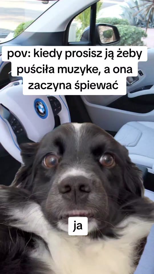 TikTok video thumbnail by michuu9696