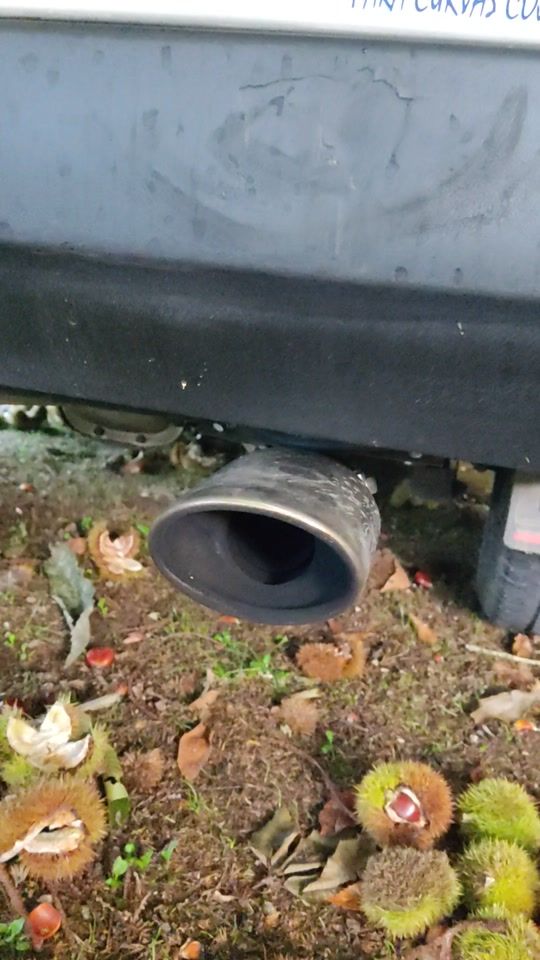 TikTok video thumbnail by anadel131