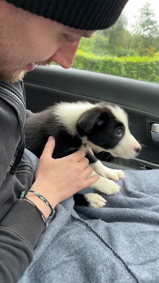 TikTok video thumbnail by abitblond