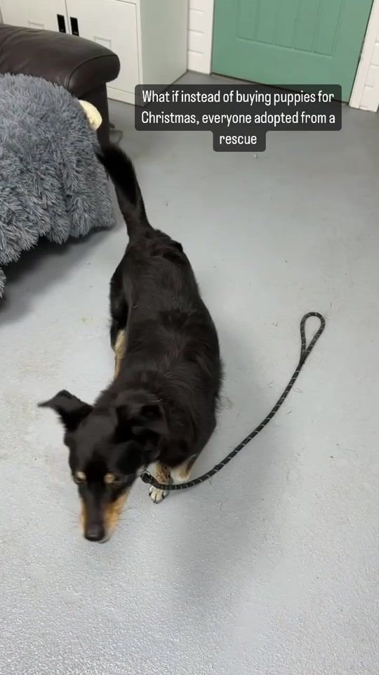 TikTok video thumbnail by madslancaster