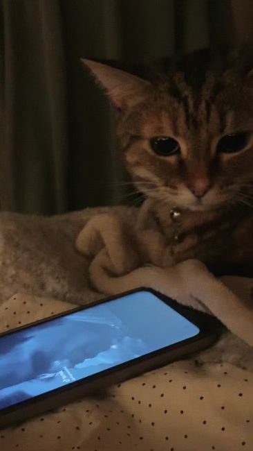TikTok video thumbnail by lollytapeclauds