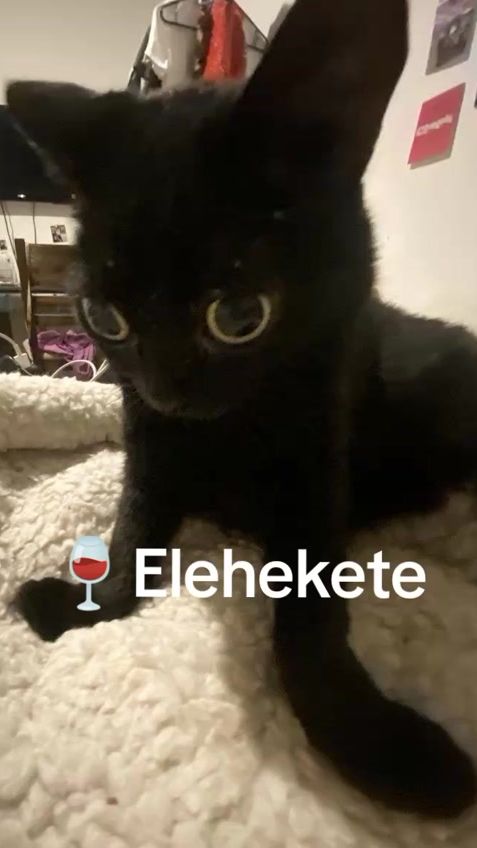 TikTok video thumbnail by rekavagyok222