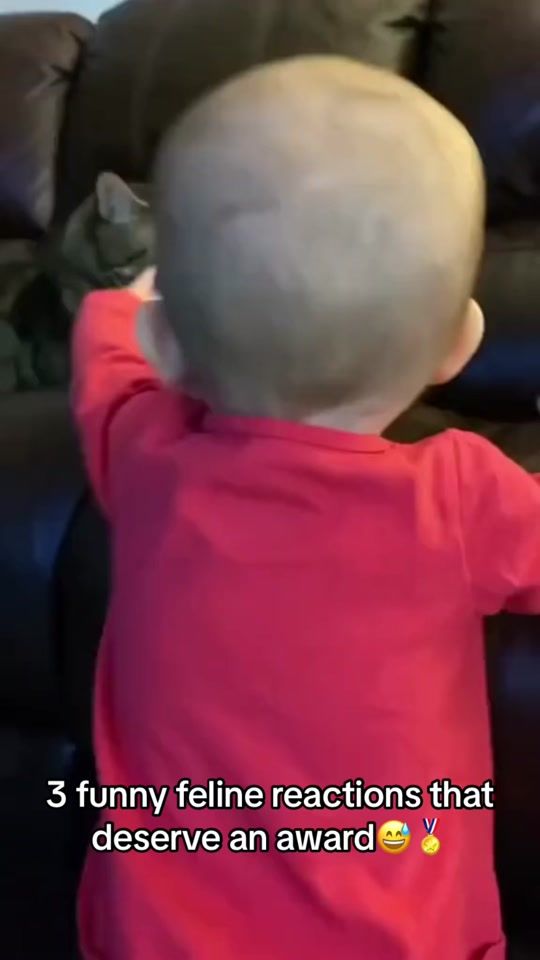 TikTok video thumbnail by moximoments