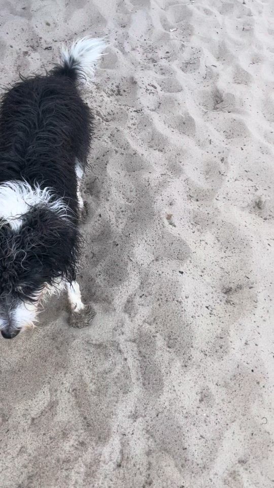 TikTok video thumbnail by sethafrican