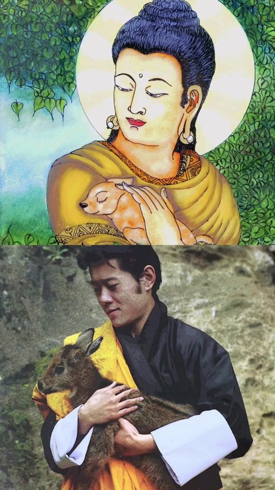 TikTok video thumbnail by justbhutan