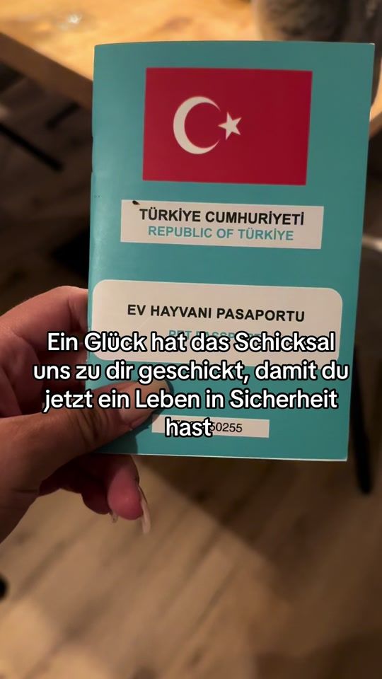 TikTok video thumbnail by we.life.us