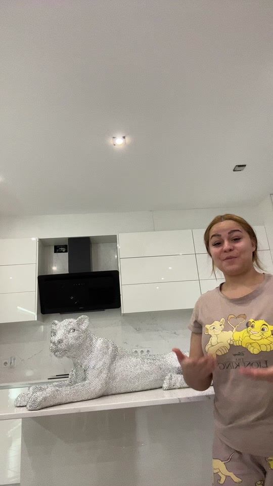 TikTok video thumbnail by silvaypalmi