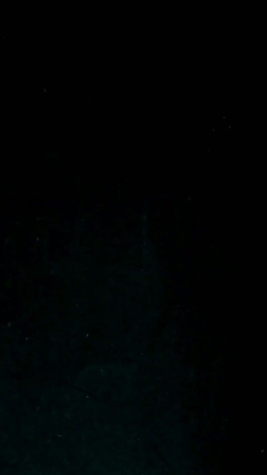 TikTok video thumbnail by safara.1985