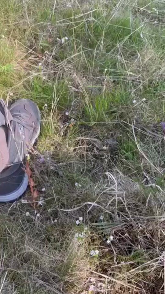 TikTok video thumbnail by andrea.pelosi.18