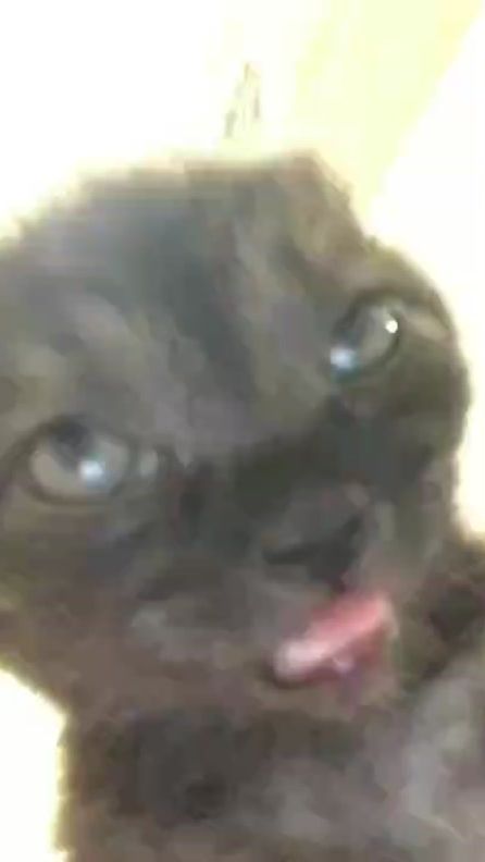 TikTok video thumbnail by flexxlamuflexx