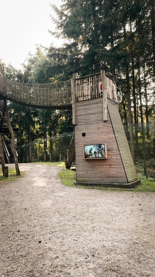 TikTok video thumbnail by treeinn_baumhaushotel