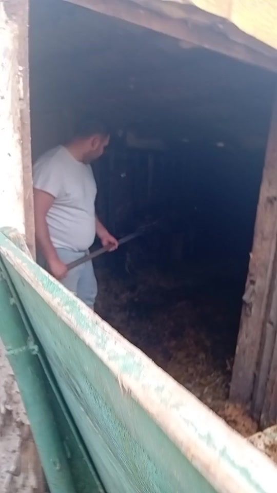 TikTok video thumbnail by krisztoferkll4