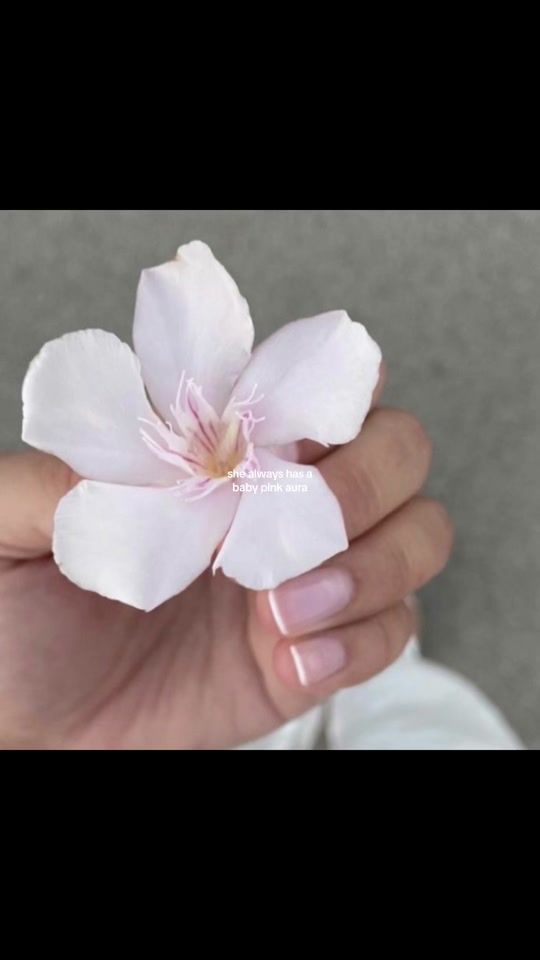 TikTok video thumbnail by stargirlmoodboard