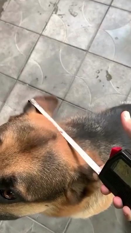TikTok video thumbnail by alexe.736
