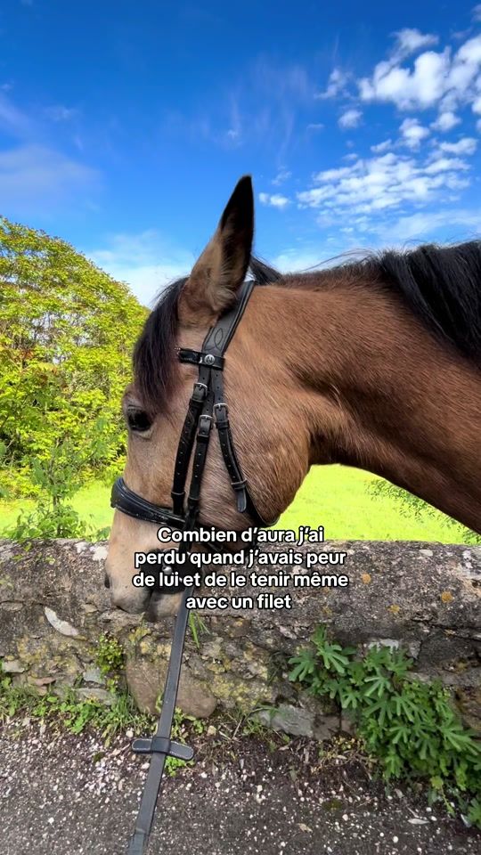 TikTok video thumbnail by csn.yasmine